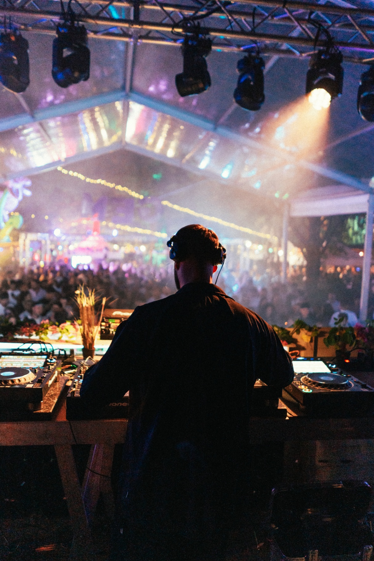 Crowd and DJ set at Gemfest In The Garden — photo 8