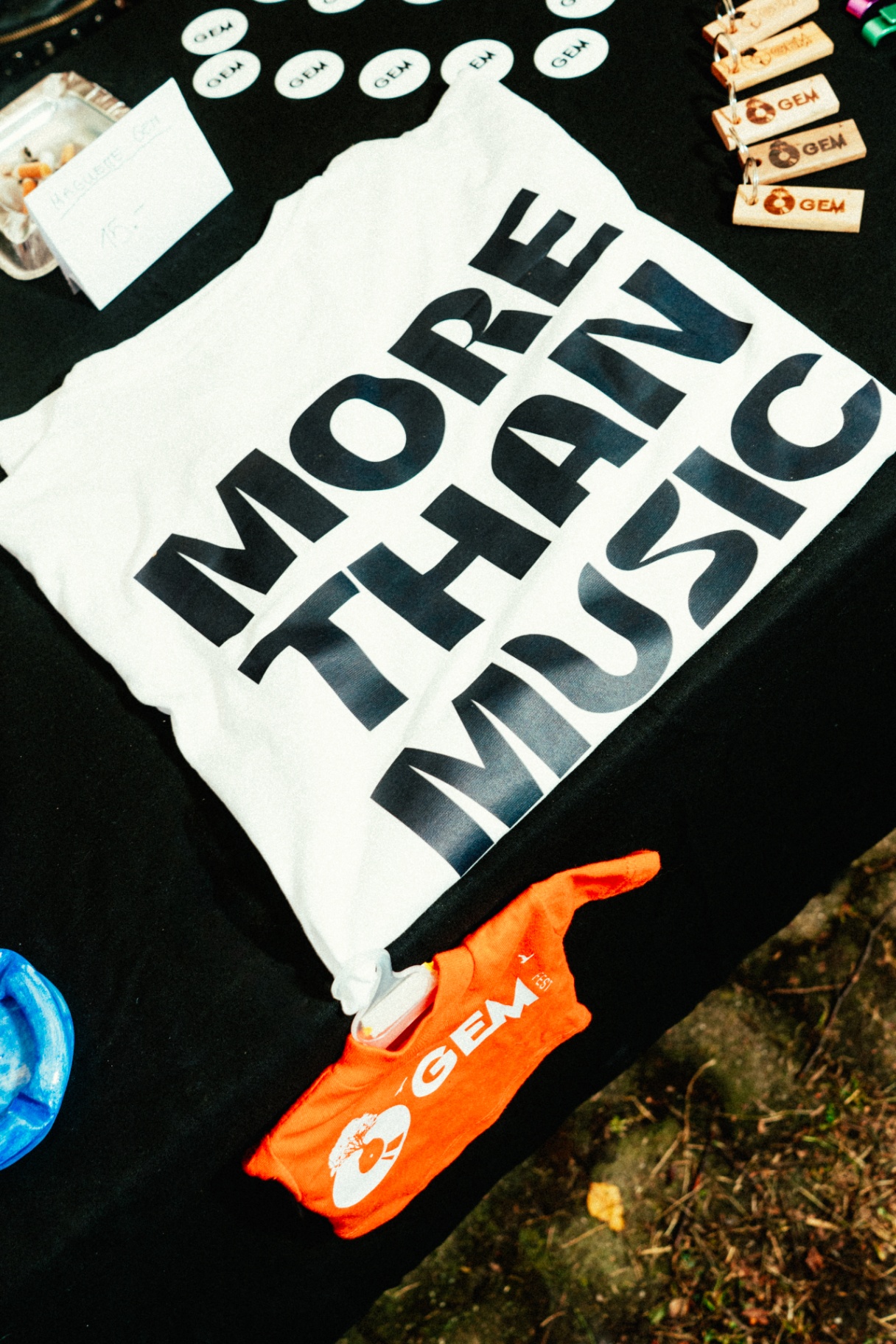 Crowd and DJ set at Gemfest In The Garden — photo 12